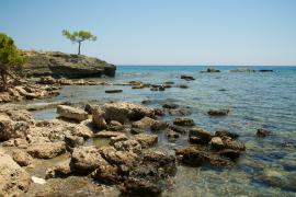 2008-07-22 at 15-16-45.jpg