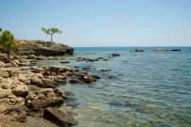 2008-07-22 at 15-16-28.jpg