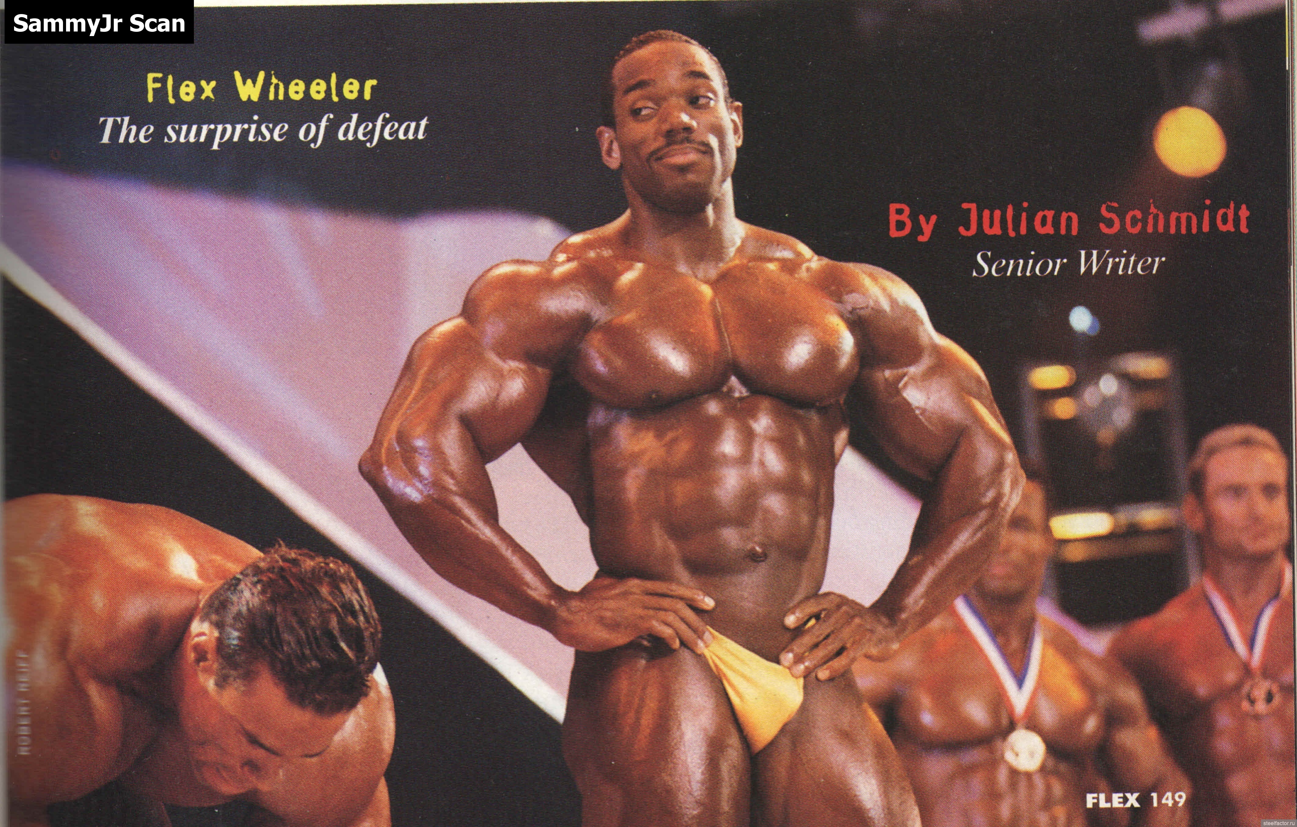 Flex Wheeler спина