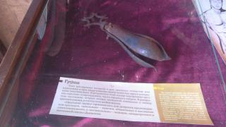 20140708_160650.jpg