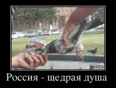 1404197527_015.jpg
