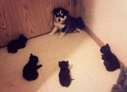 чужой район.jpg