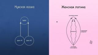 ЖЕНСКАЯ ЛОГИКА.jpg