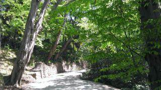 IMAG0586.jpg