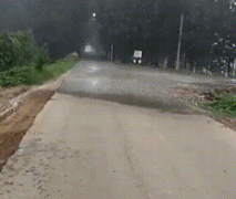 1468099692148968407.gif
