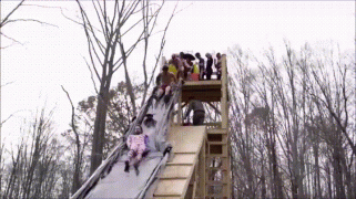 гифки-утки-люди-Горки-3206139.gif