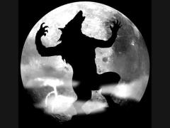 НЕТ ВОТ МЕМ СЕНЙОРА.jpg