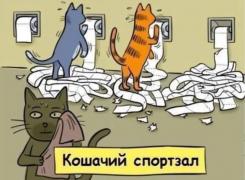 image.jpeg