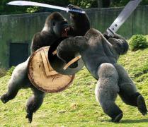 Epic Gorilla Fight 3.jpg