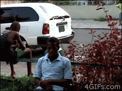 p_S3e_HCV.gif