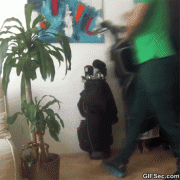 pranks_gifs_17.gif