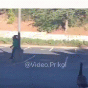 гусь_пугач.gif