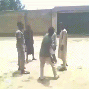 Африканские_бои2.gif