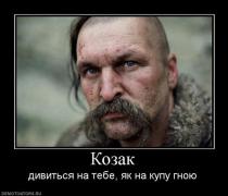 img_527925da3123f.jpg