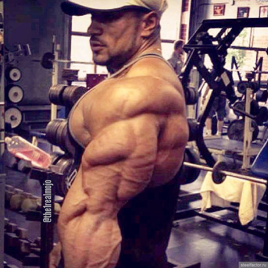 Roelly Winklaar бицепс