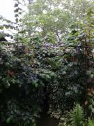 20180706_184003.jpg