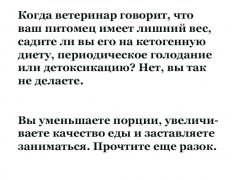Без имени-1.jpg