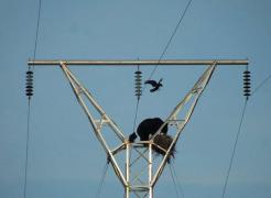 IMG-20190707-WA0003.jpg