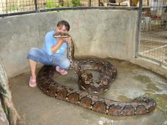 piton06.jpg