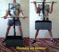 12.подъем на бицепс.jpg