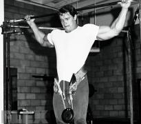 pull-up-arnold.jpg