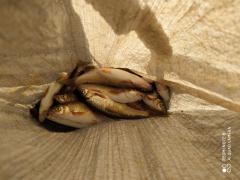 IMG_20200703_184310.jpg