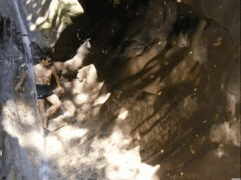 0E39CA30-58A8-408A-9CB5-ABEA988A0B4A.gif
