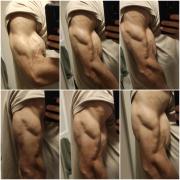 triceps.jpg