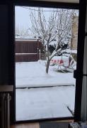 20210208_075151.jpg