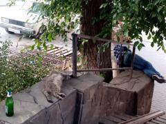 IMG_20210715_193850.jpg