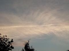 IMG_20210626_201243.jpg