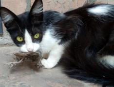 IMG_20210717_110615_1.jpg
