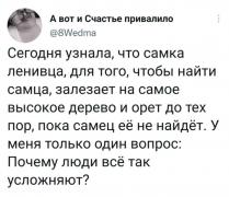 Снимок.JPG