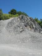 IMG_20220711_134456.jpg