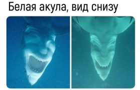 20220723_103939.png
