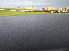 MI_02072022_183207.jpg