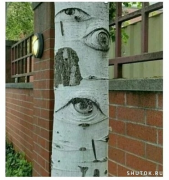 20220703_093529.png