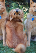 20220720_212651.png