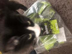 123940E1-3940-40AF-BDB0-8C01B2CAD6FF.jpeg