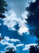FF924AFA-597A-4609-A188-C58C46529BC3.jpeg