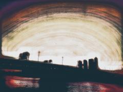 F0ACD5A3-37EC-44C0-AC09-D827D1672525.jpeg