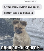 1690012607268210076.png