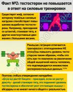 359331435_814640340377893_3628651083797514958_n.webp.jpeg
