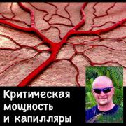 356956448_826041992190734_2372919849759765606_n.jpg