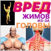 Снимок экрана 2023-07-20 в 09.24.29.png