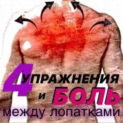 107028942_2027317484067230_8309668836132207819_n.jpg