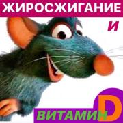 109524853_2039395116192800_3027305024793473378_n.jpg
