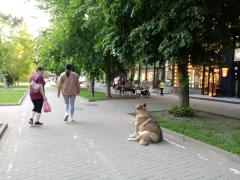 IMG_20230516_184441.jpg