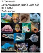 Capture.JPG