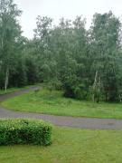 IMG_20240718_090818_558.jpg